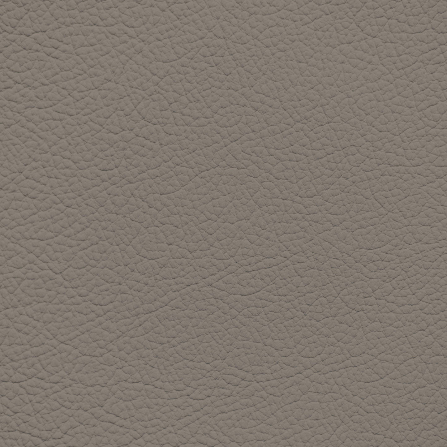 Infiniti Beige Leather Dye