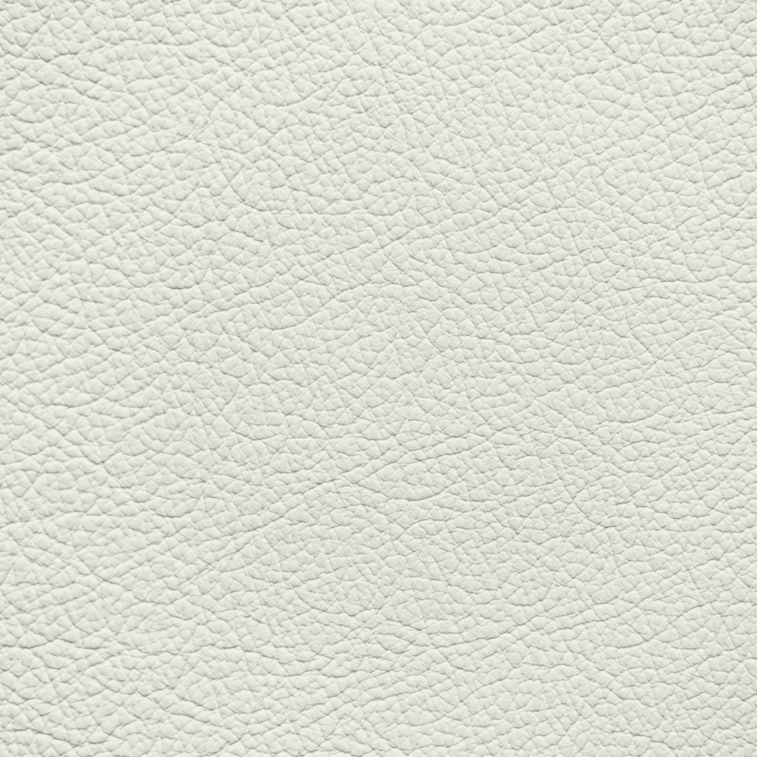 Lamborghini Bianco Polar Leather Dye – Leather World Technologies
