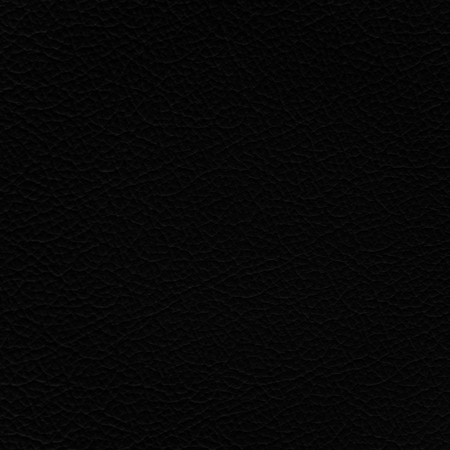 Black_5b0a6061-f11c-4e25-b302-