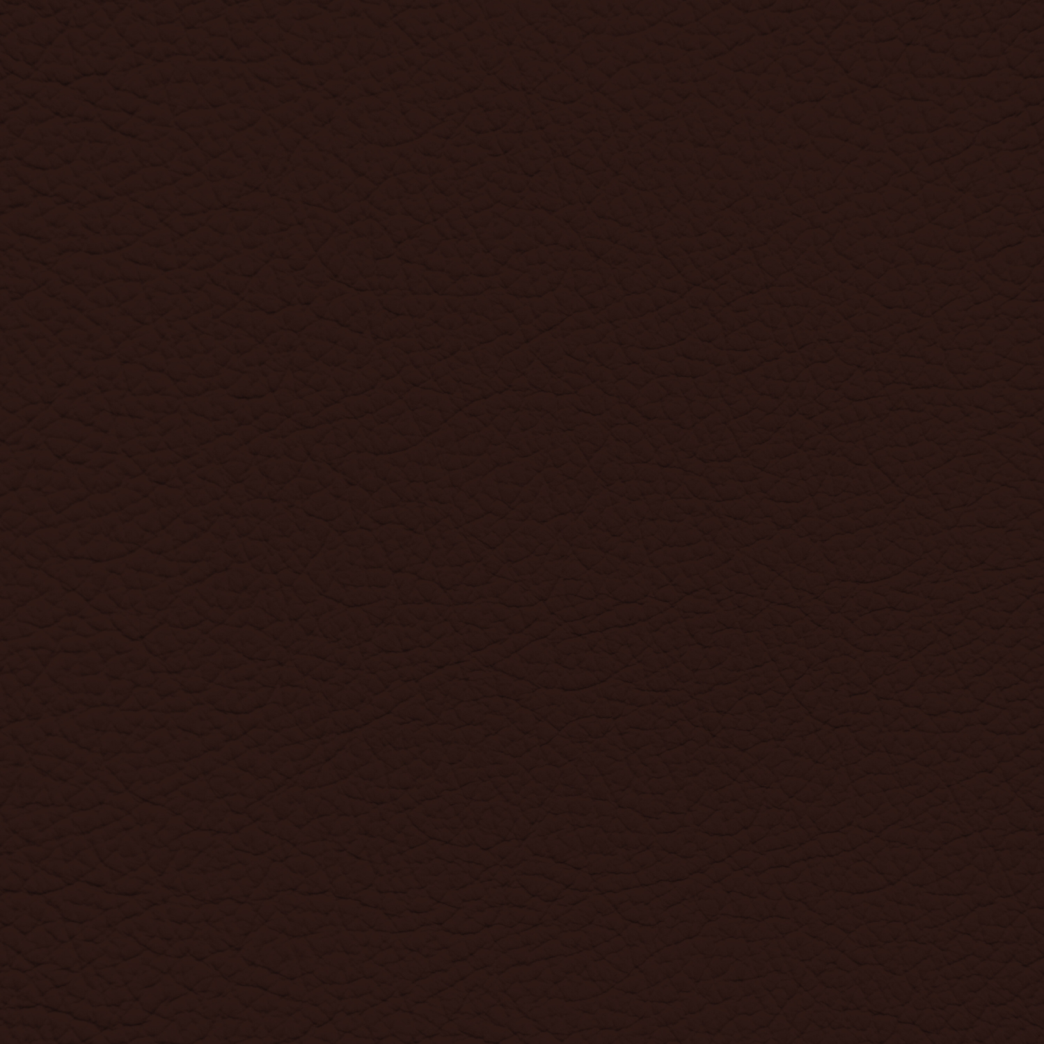 bruin leather