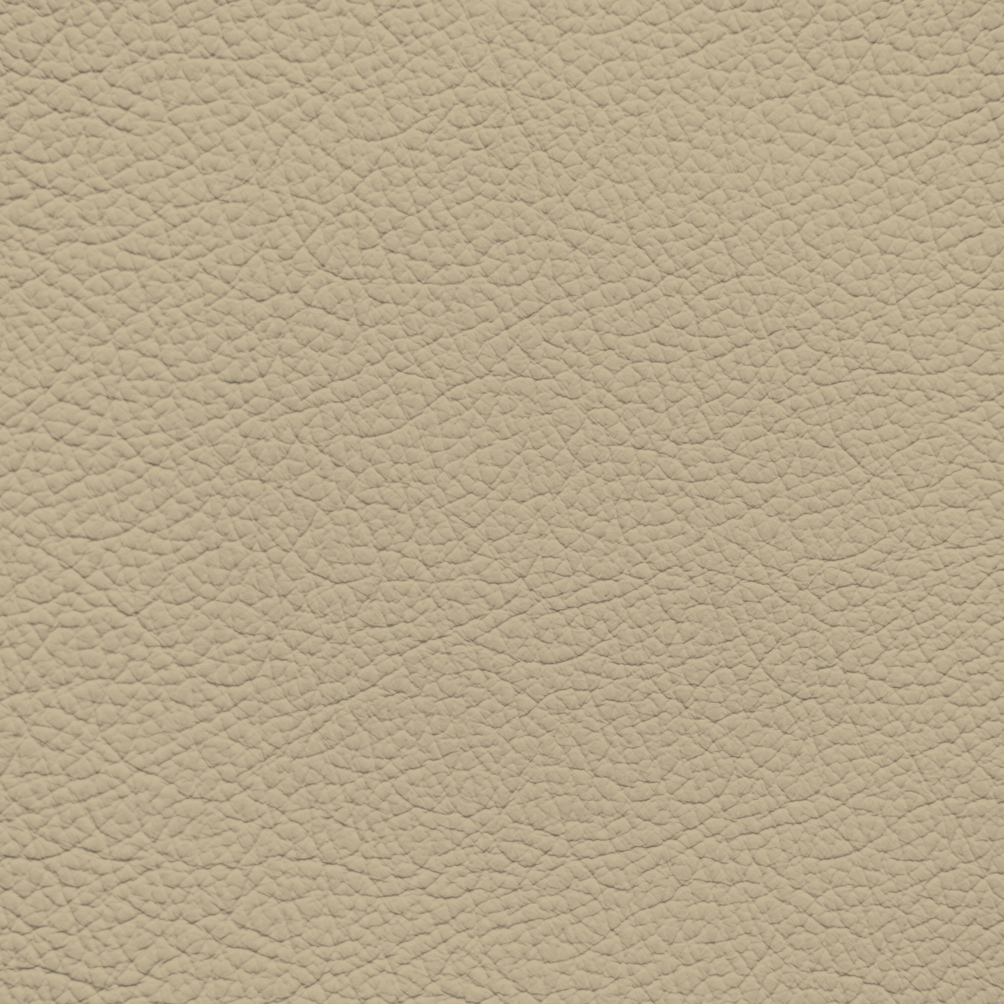 Mercedes Cashmere Beige Leather Dye