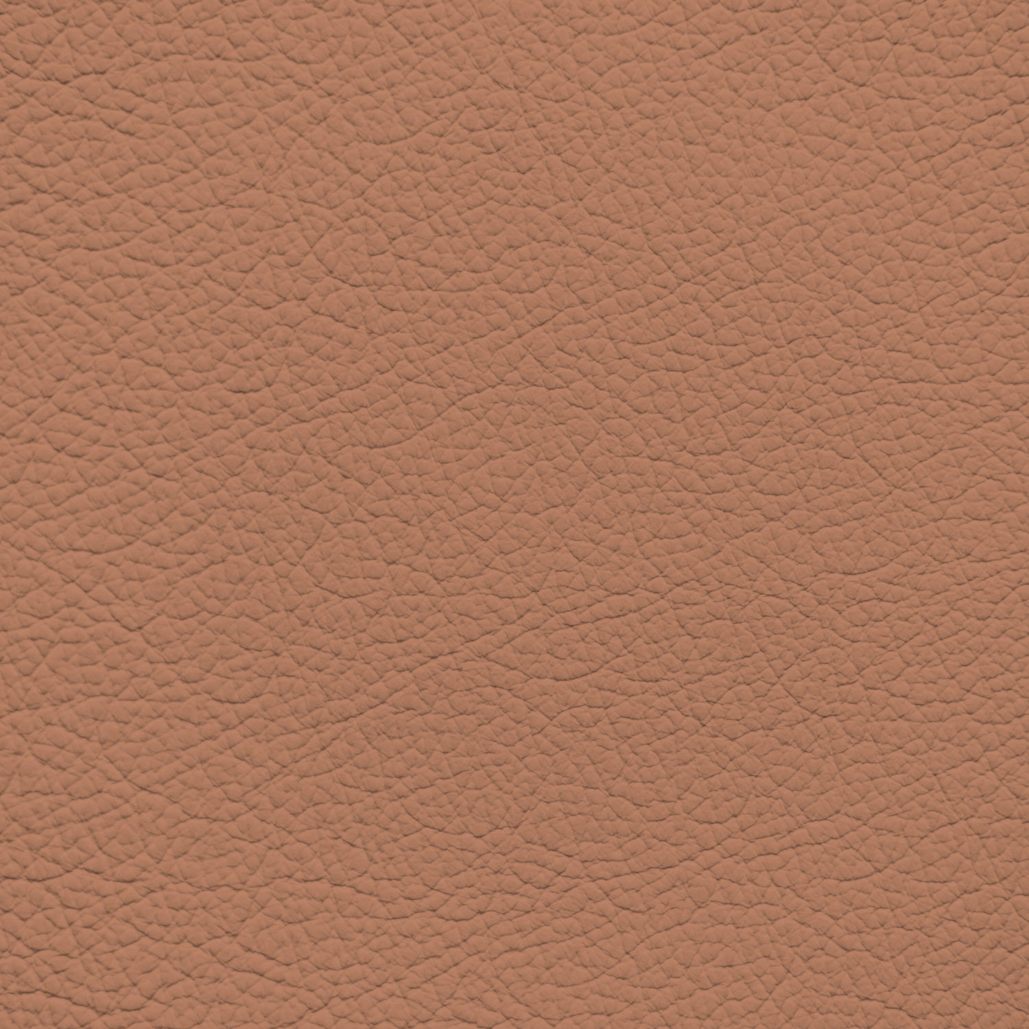 Porsche Cinnamon Leather Dye – Leather World Technologies