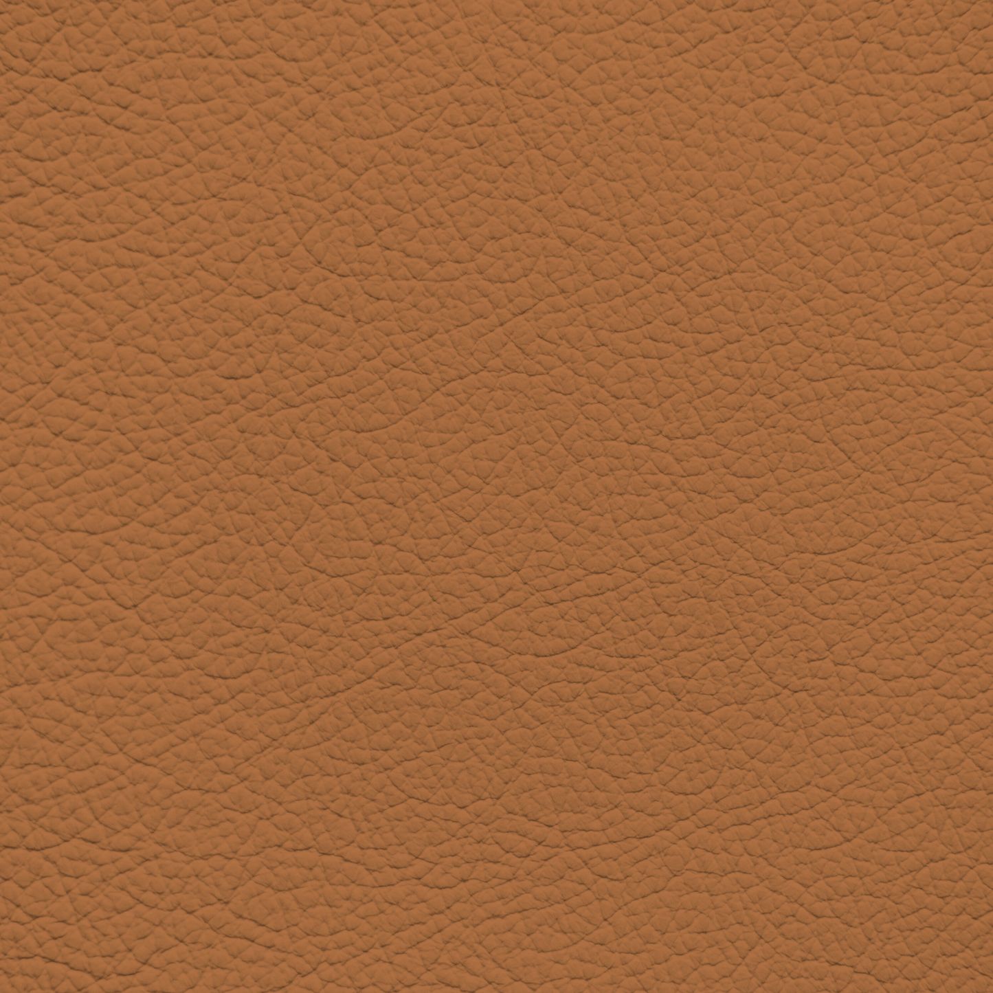 BMW Cognac Leather Dye