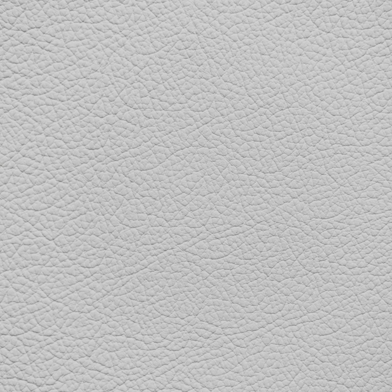 Nissan Frost Leather Dye – Leather World Technologies