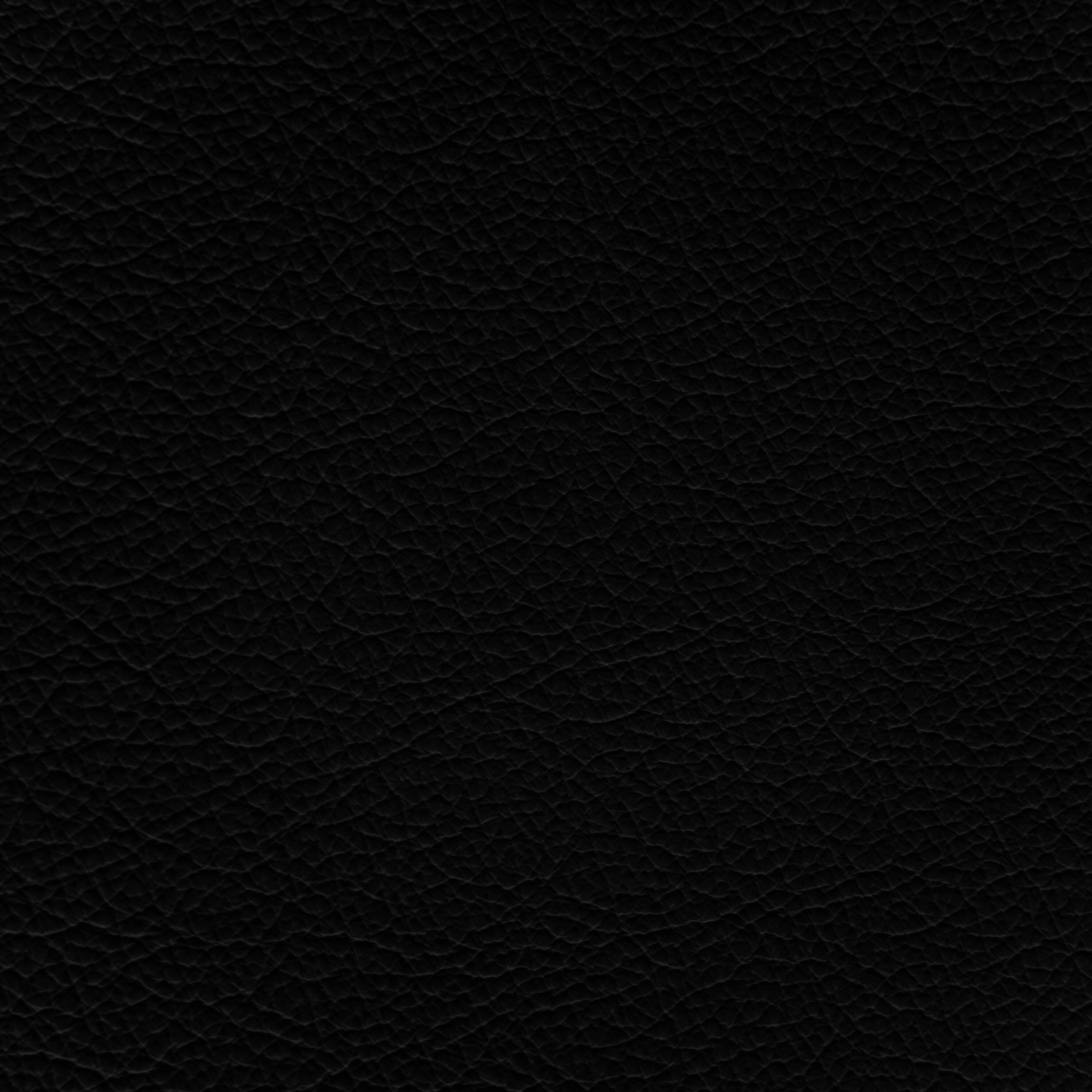 GM Jet Black Leather Dye