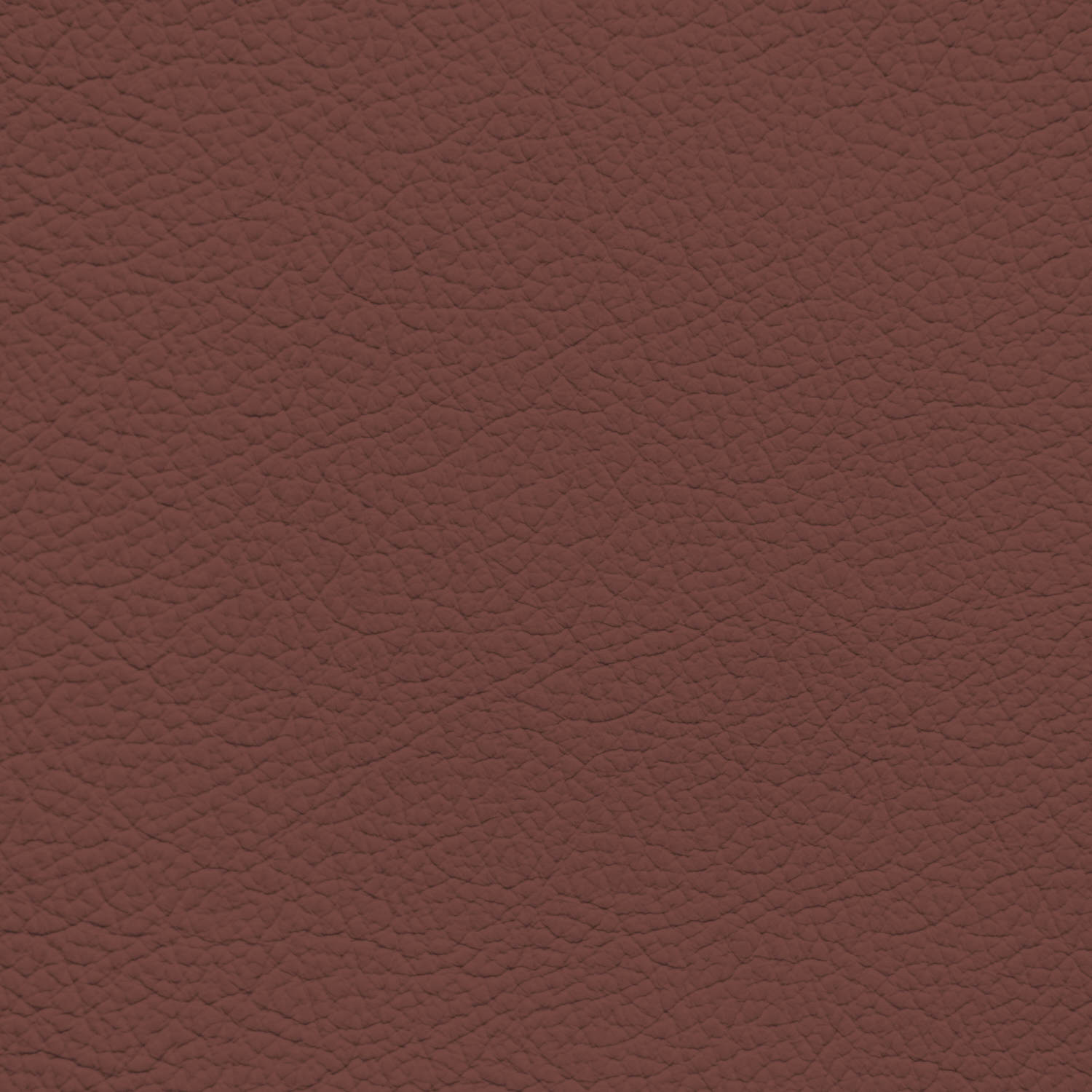 Ford King Ranch Red Leather Dye – Leather World Technologies