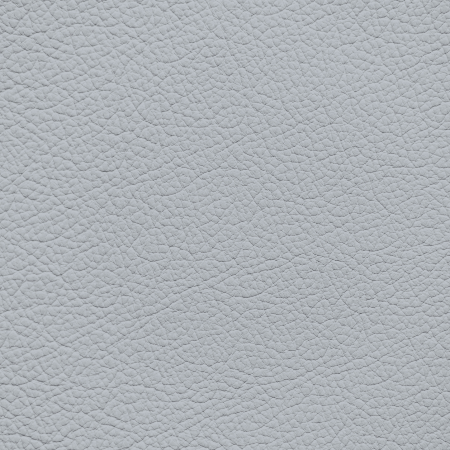 Toyota Light Gray Leather Dye