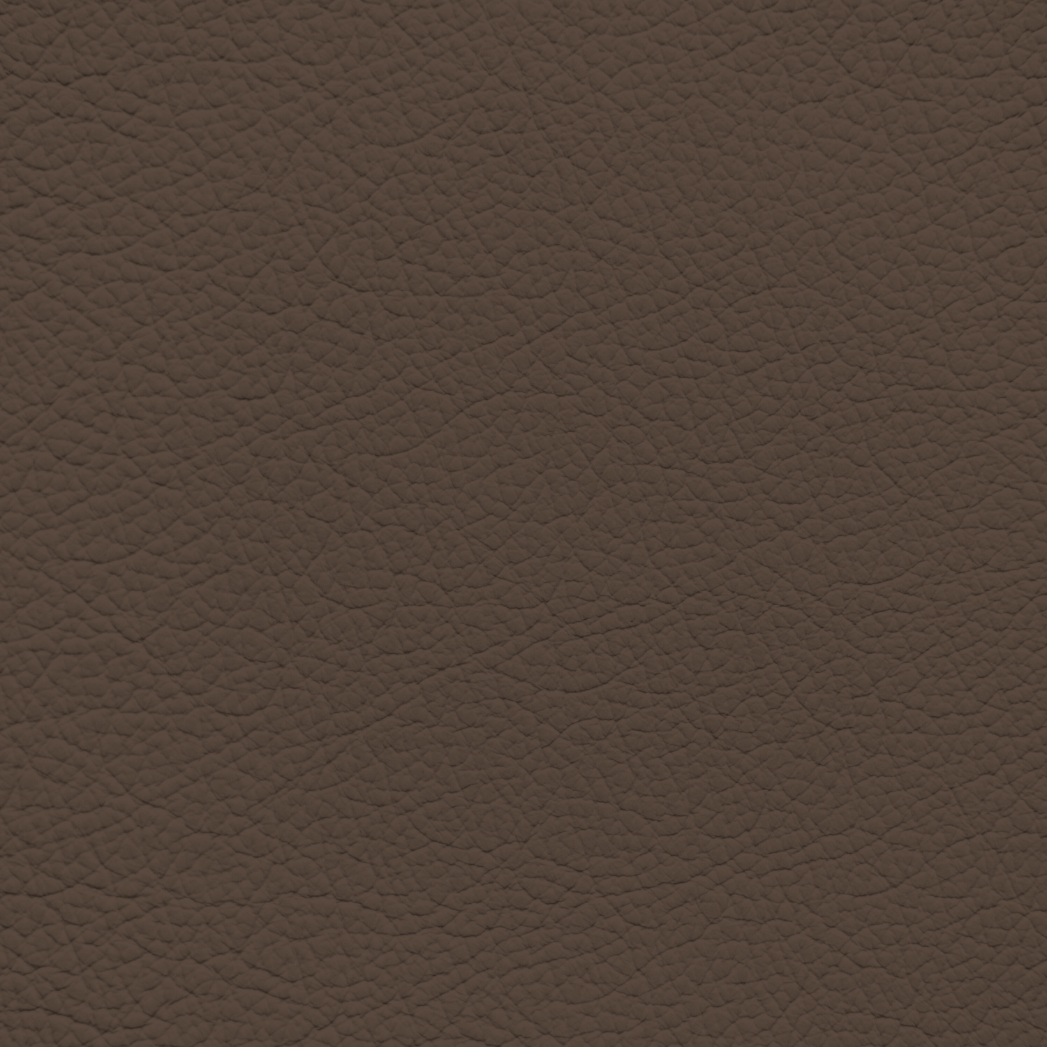 BMW Mocha Leather Dye – Leather World Technologies