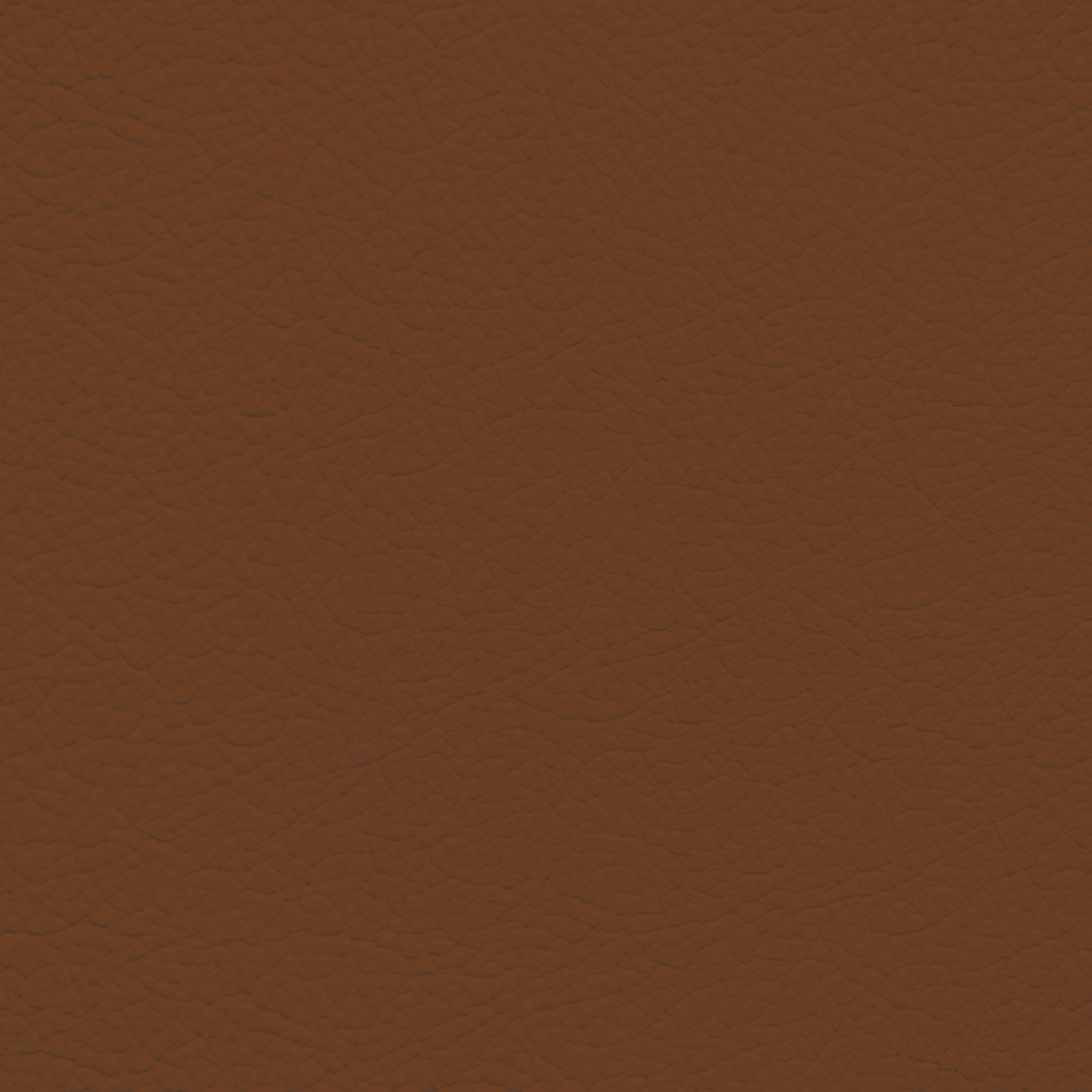 Toyota Saddle Leather Dye – Leather World Technologies