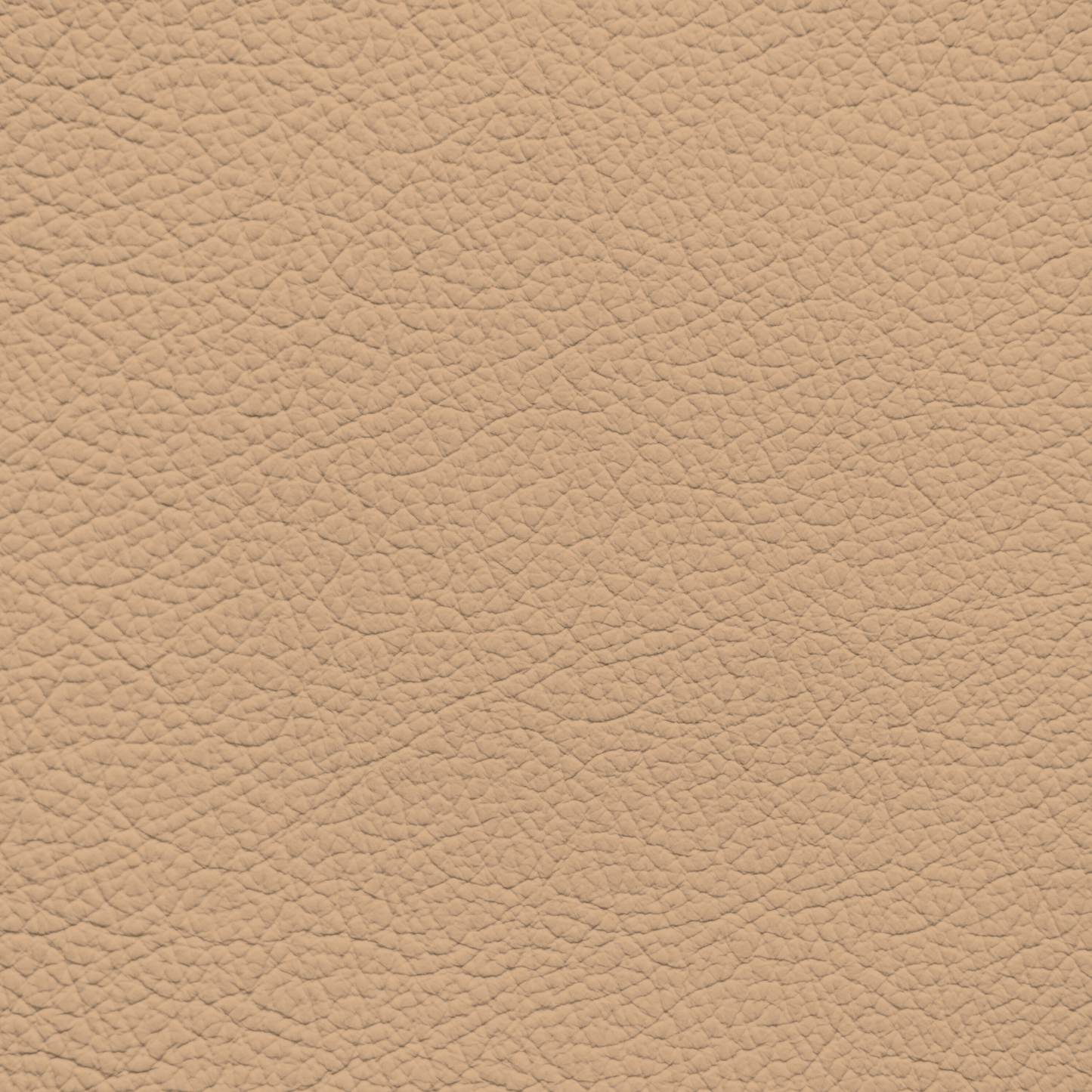 BMW Sand Beige Leather Dye