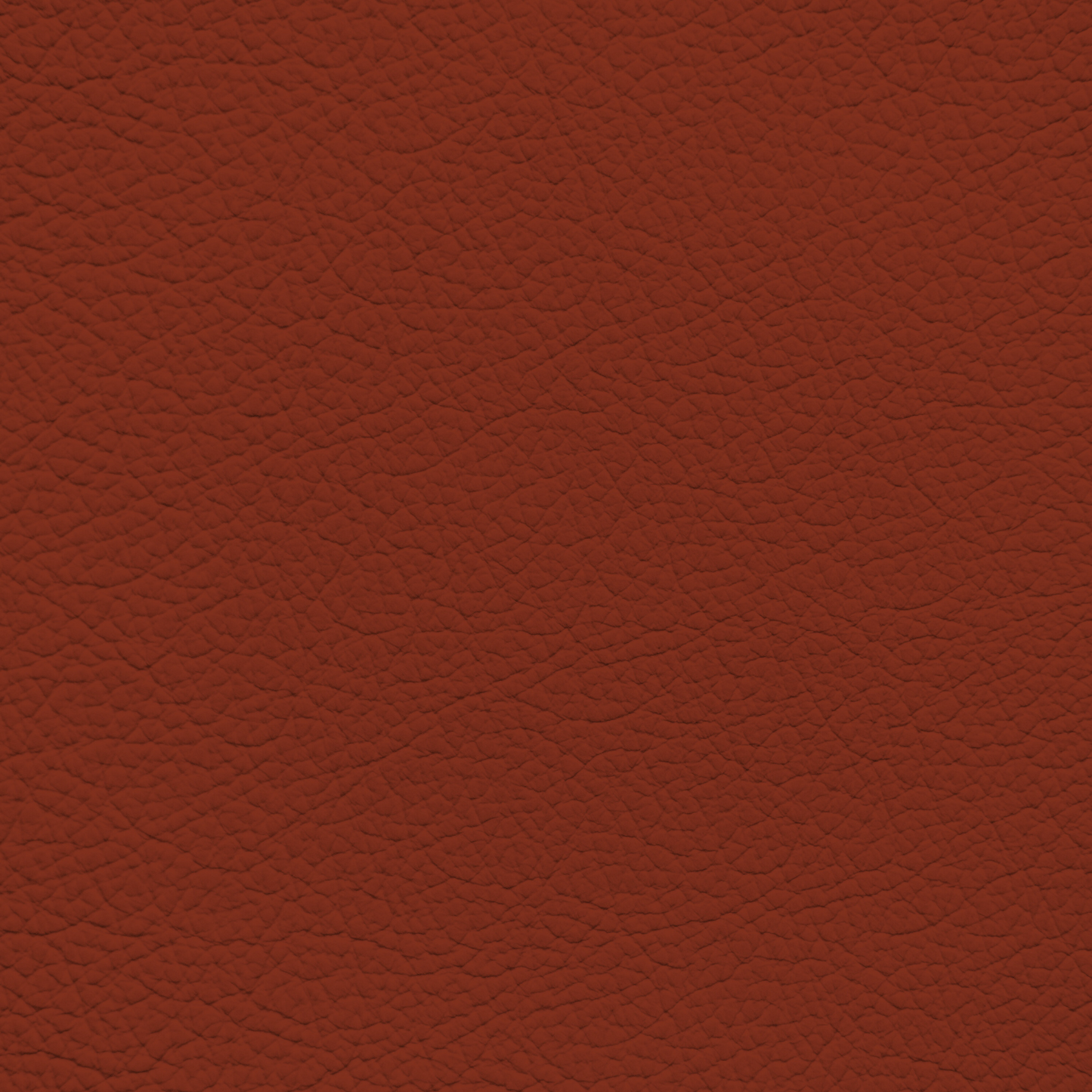 BMW Sakhir Orange Leather Dye