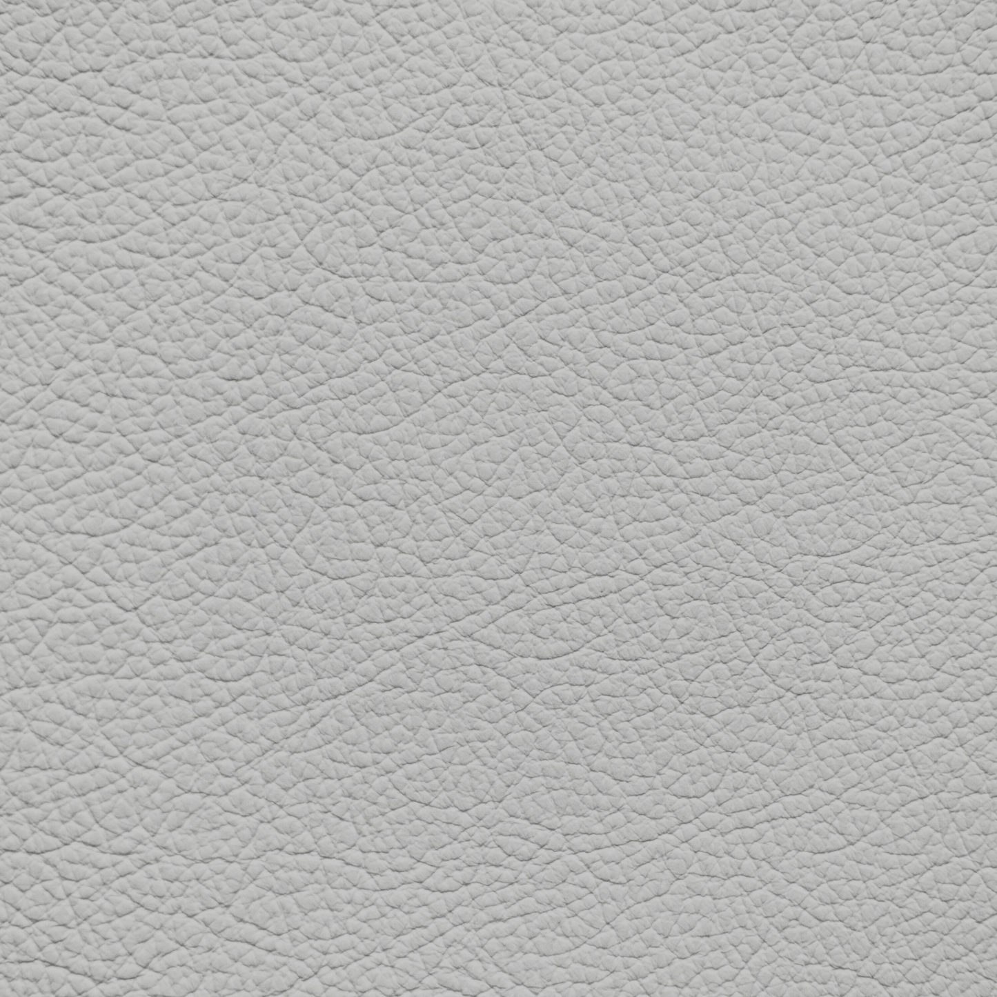 BMW Silverstone Leather Dye