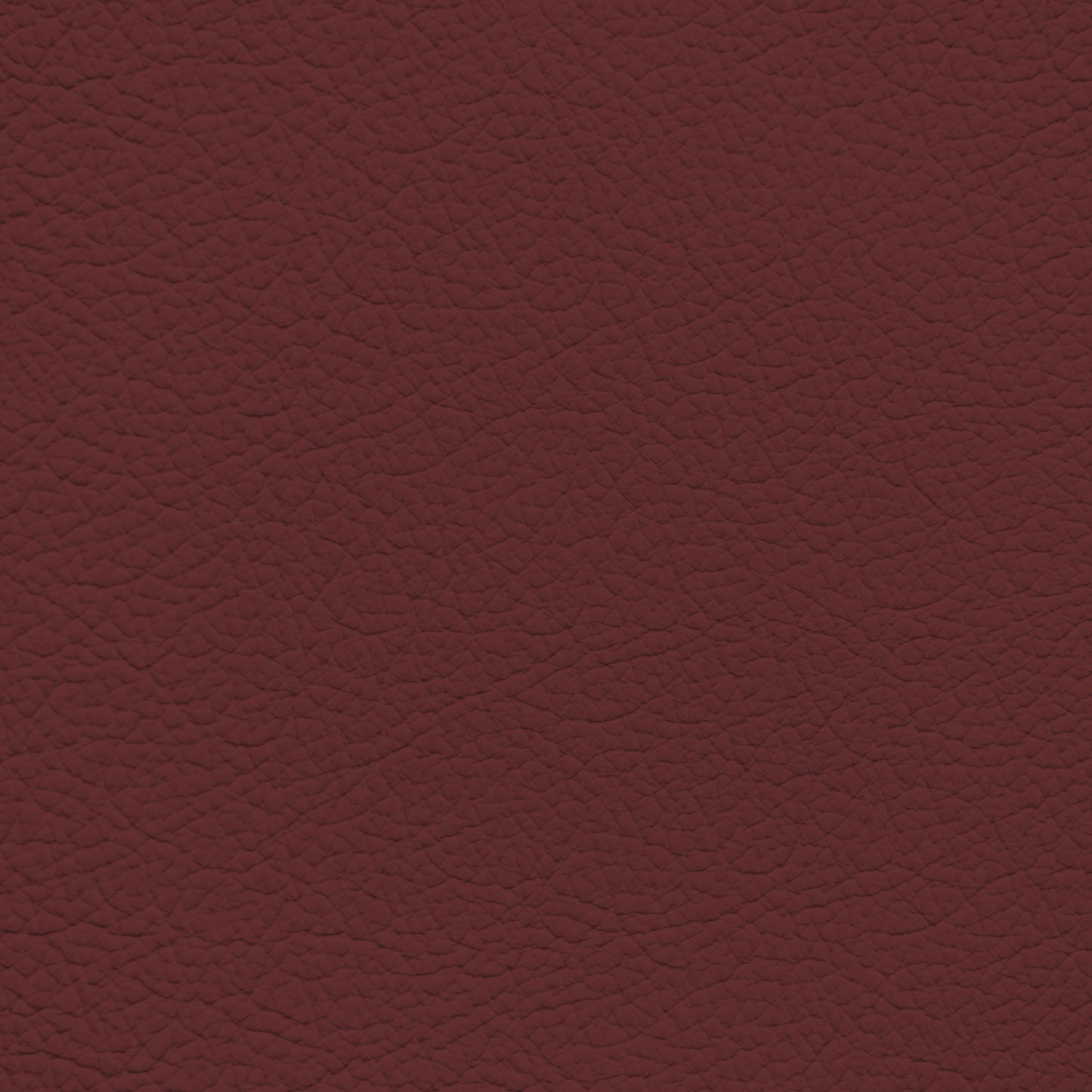 BMW Tacora Red Leather Dye