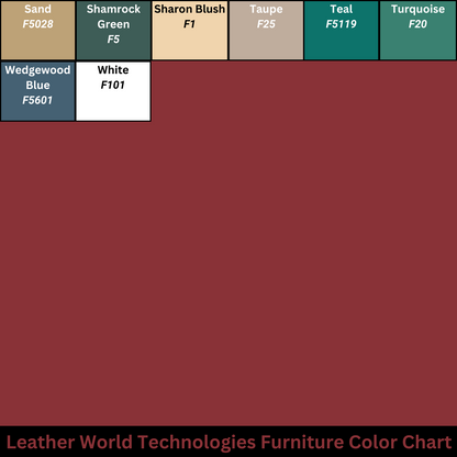 Deluxe Leather Furniture Dye and Repair Kit