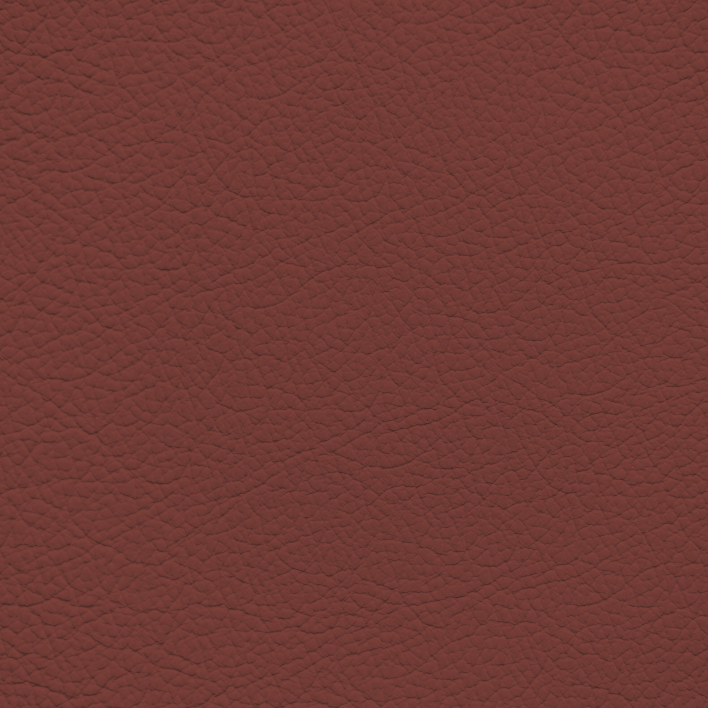 Mercedes Accent Red Leather Dye
