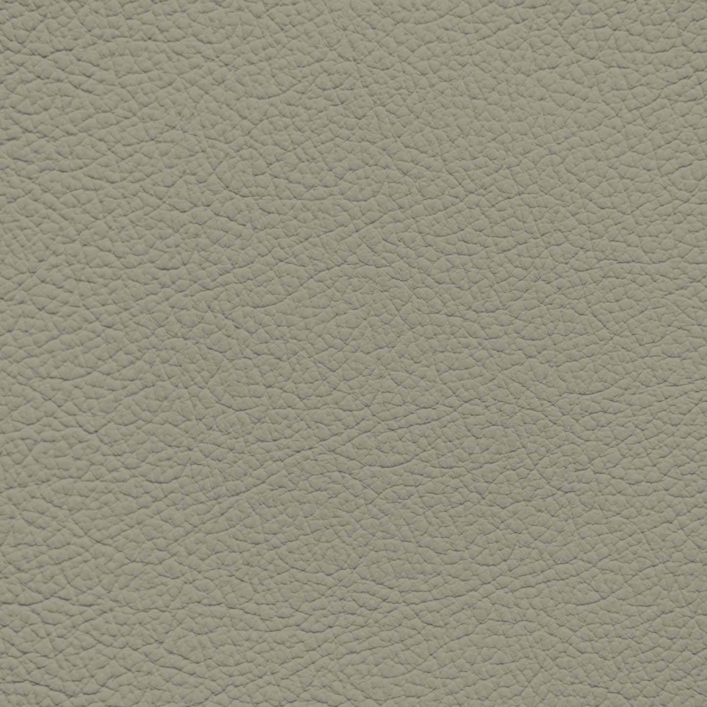 Jaguar Acorn Leather Dye