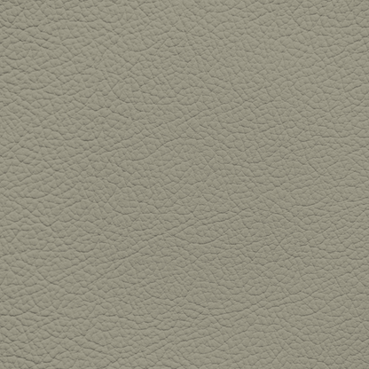 Jaguar Acorn Leather Dye