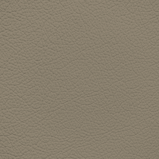 Mercedes Stein Leather Dye