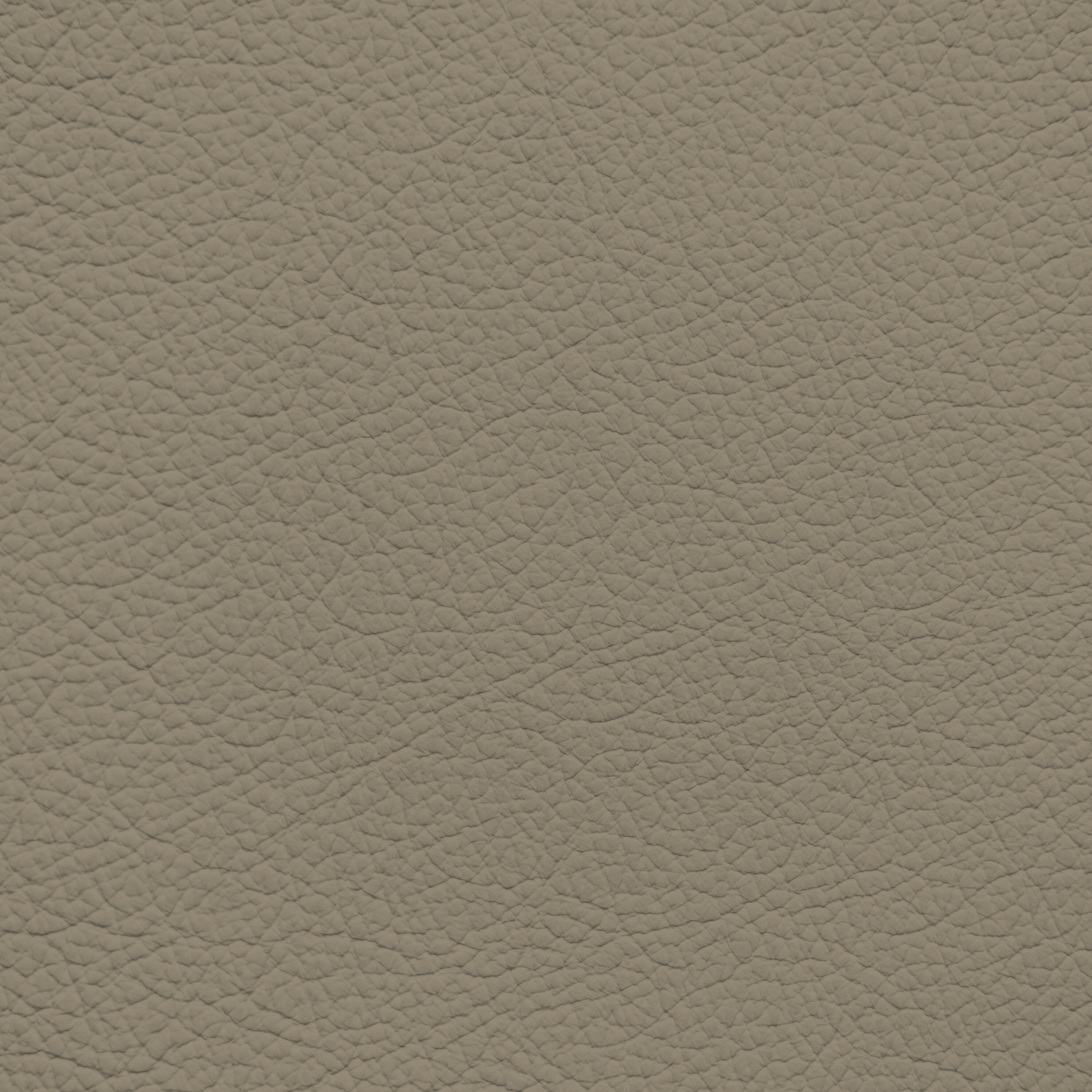 Mercedes Almond Beige Leather Dye