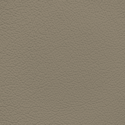 Mercedes Almond Beige Leather Dye