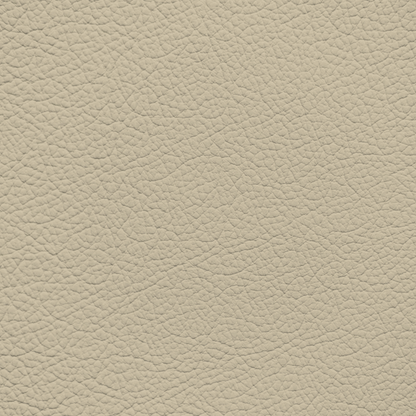 Infiniti Almond Leather Dye