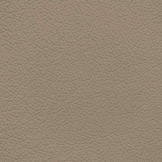 Land Rover Range Rover Almond Leather Dye