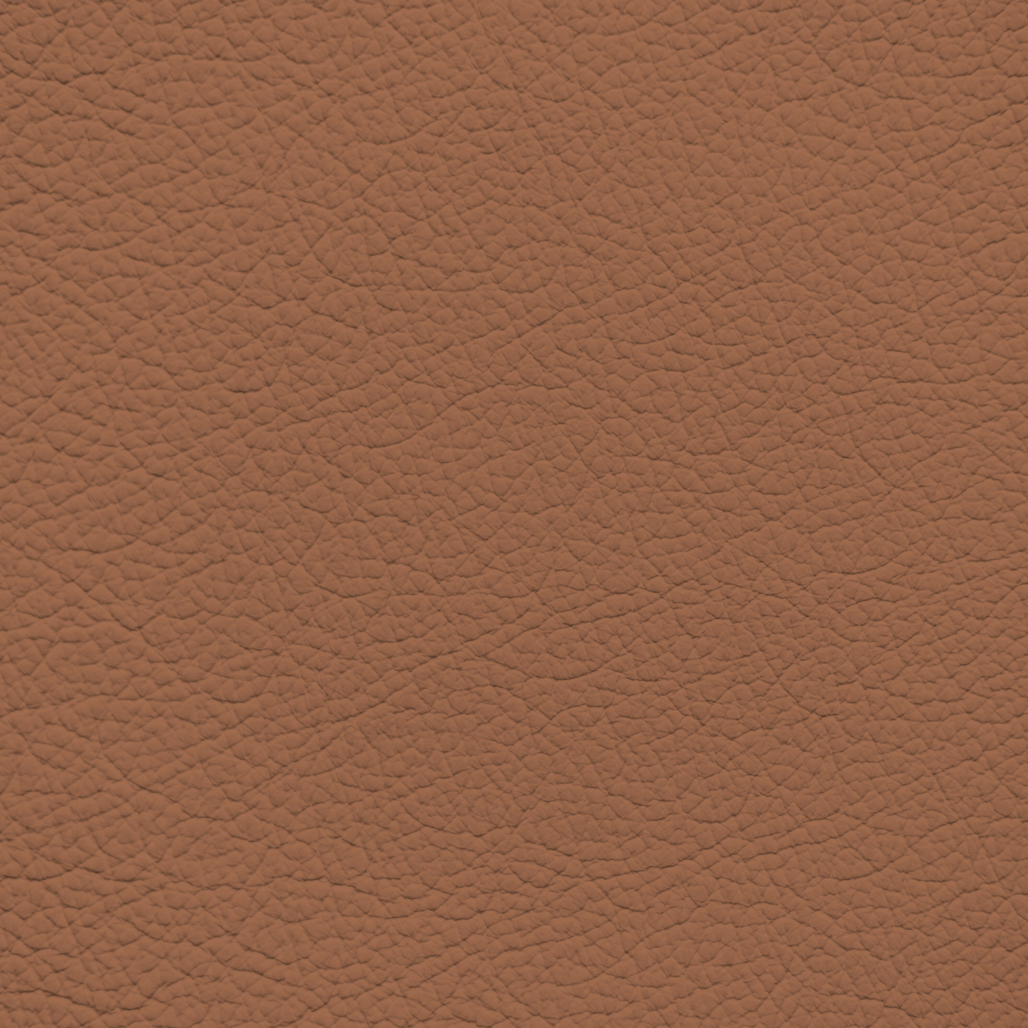 BMW Amaro Brown Leather Dye