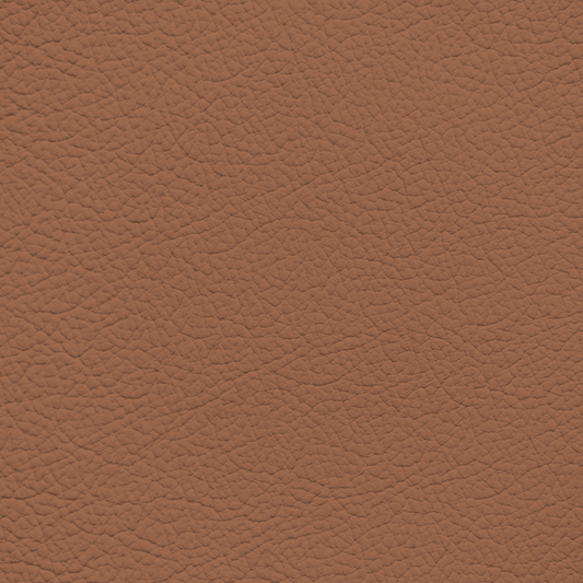 BMW Amaro Brown Leather Dye