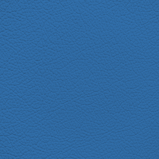 Lamborghini Amon Blue Leather Dye