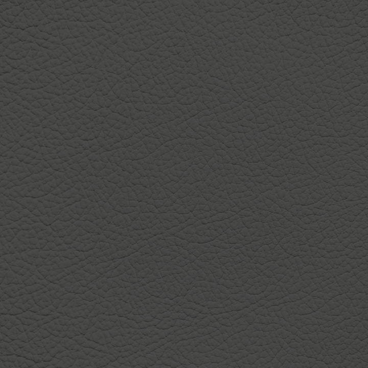 BMW Leather Vinyl Dye Color Chart – Leather World Technologies