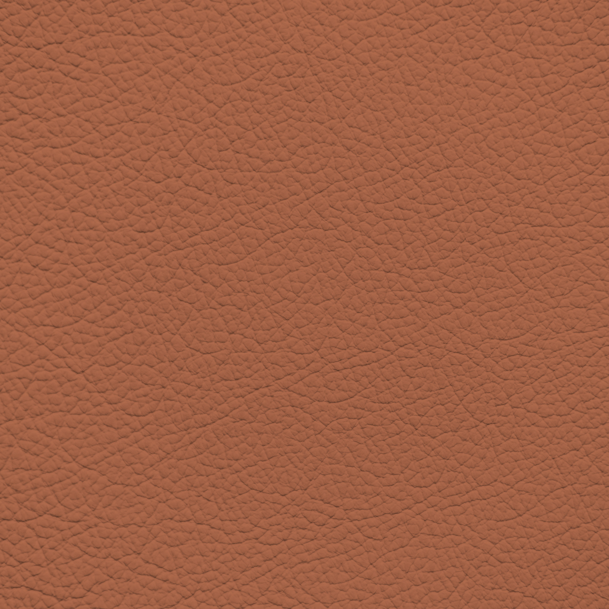 BMW Aragon Tan Leather Dye