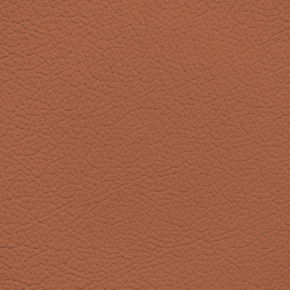 BMW Aragon Tan Leather Dye
