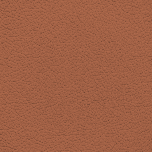 BMW Aragon Tan Leather Dye