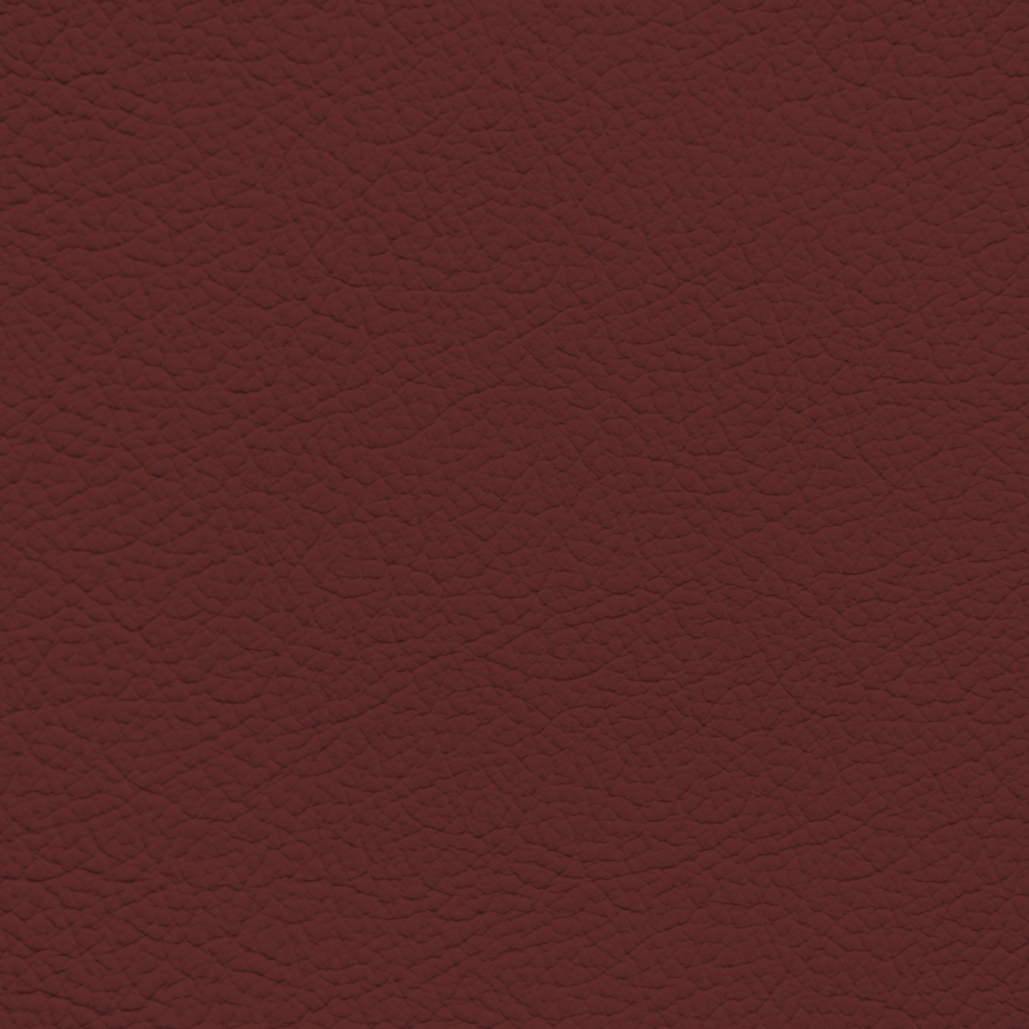 Audi Arras Red Leather Dye