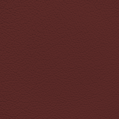 Audi Arras Red Leather Dye