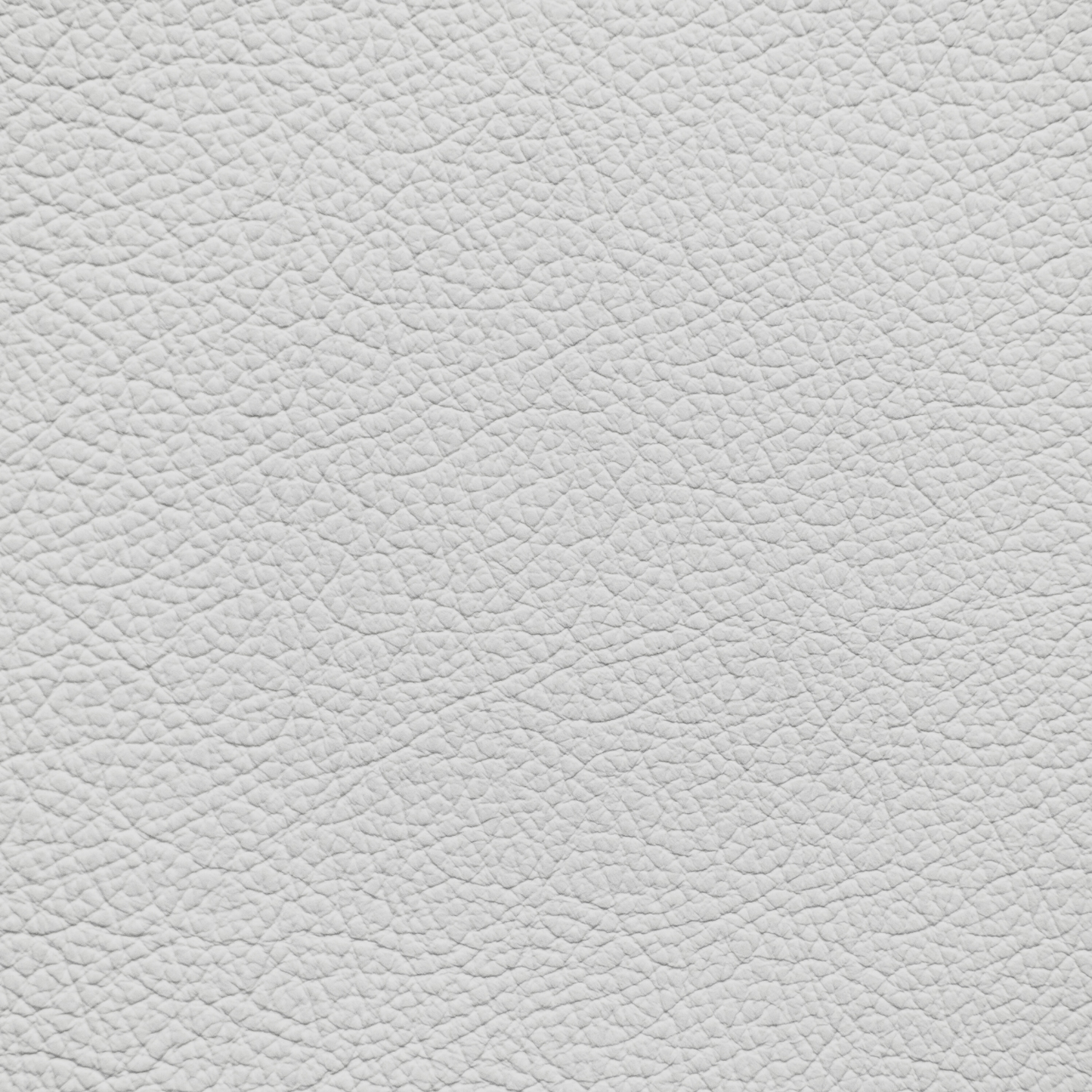 Mercedes Artico Gray Leather Dye