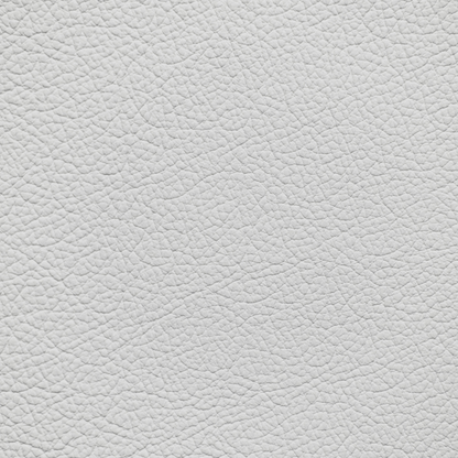 Mercedes Artico Gray Leather Dye