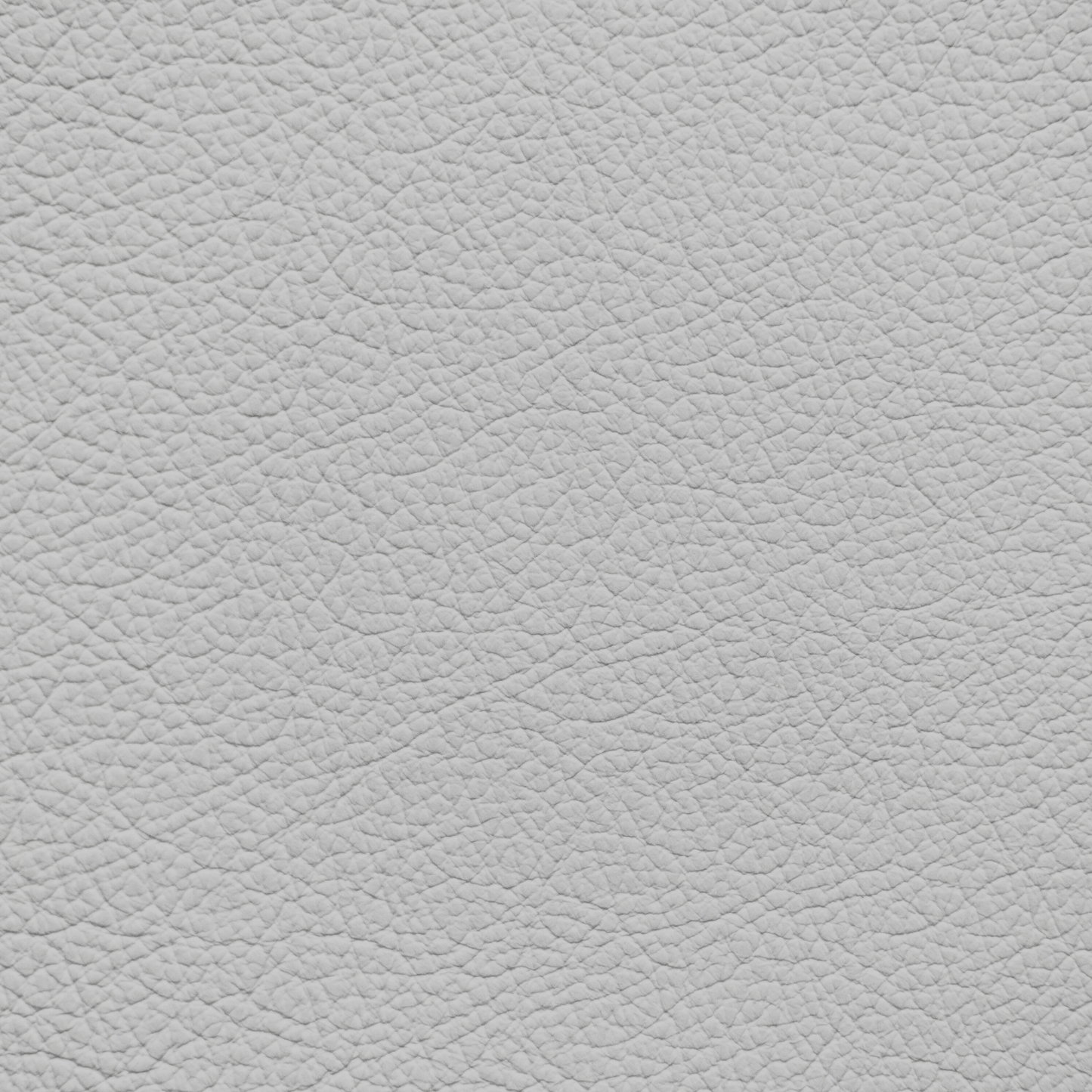 Mercedes Ash(2005 and After) Leather Dye