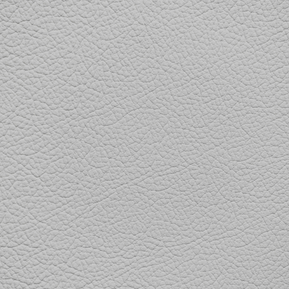 Mercedes Ash(2005 and After) Leather Dye