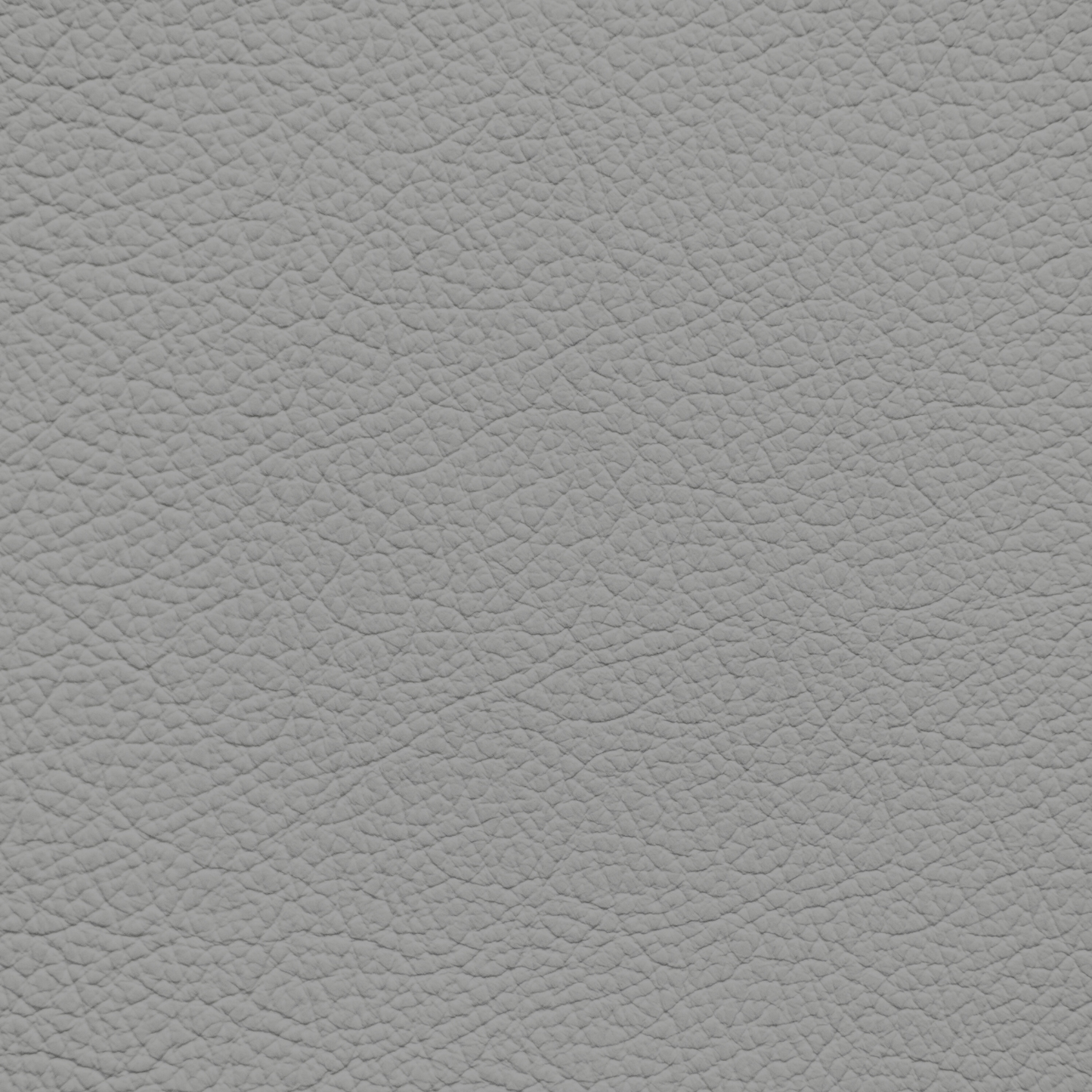Lexus Ash Leather Dye