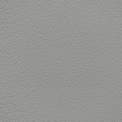 Lexus Ash Leather Dye