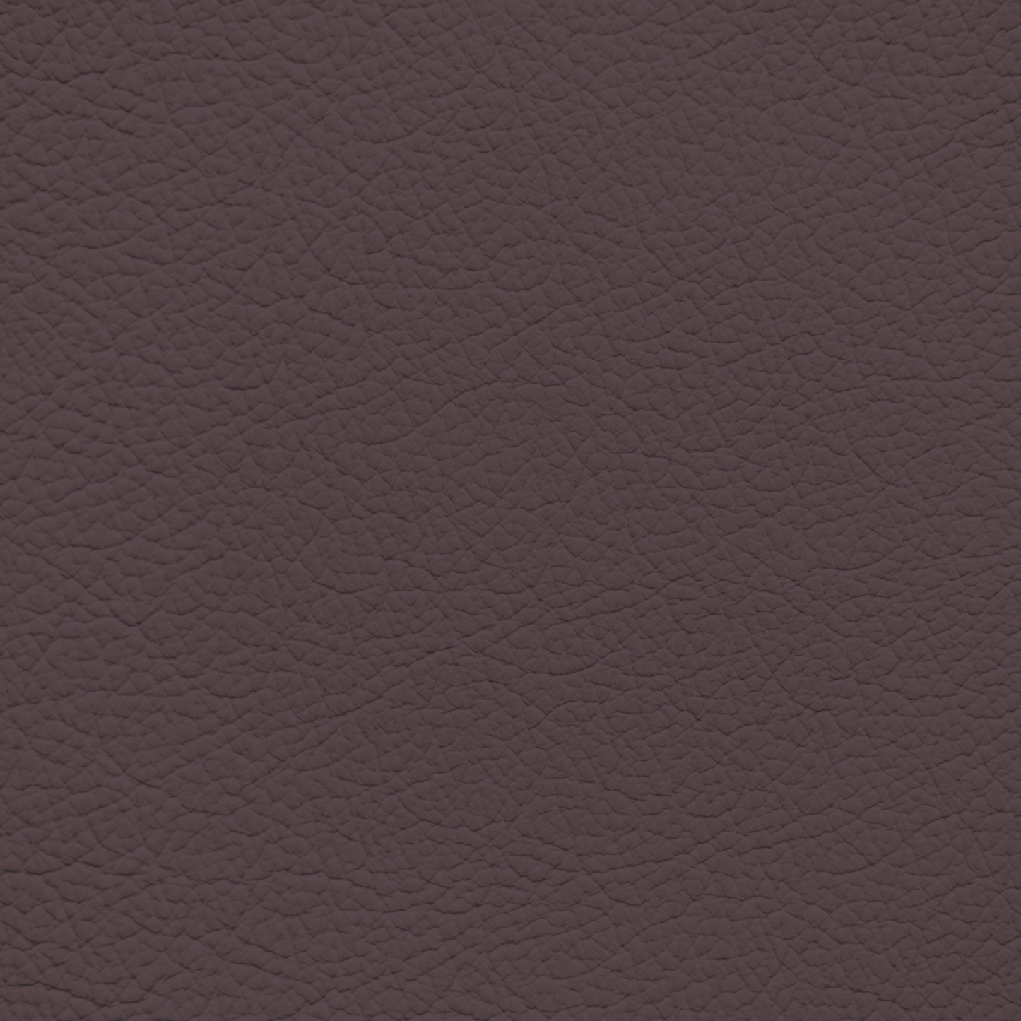 BMW Aubergine Leather Dye