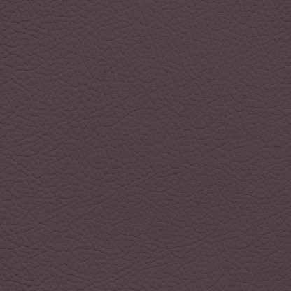 BMW Aubergine Leather Dye