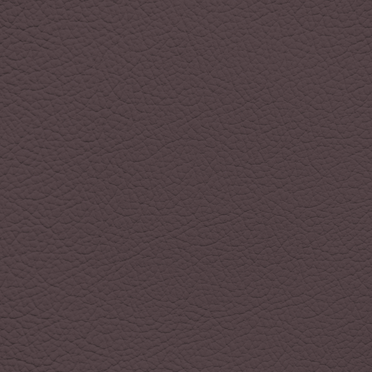 BMW Aubergine Leather Dye