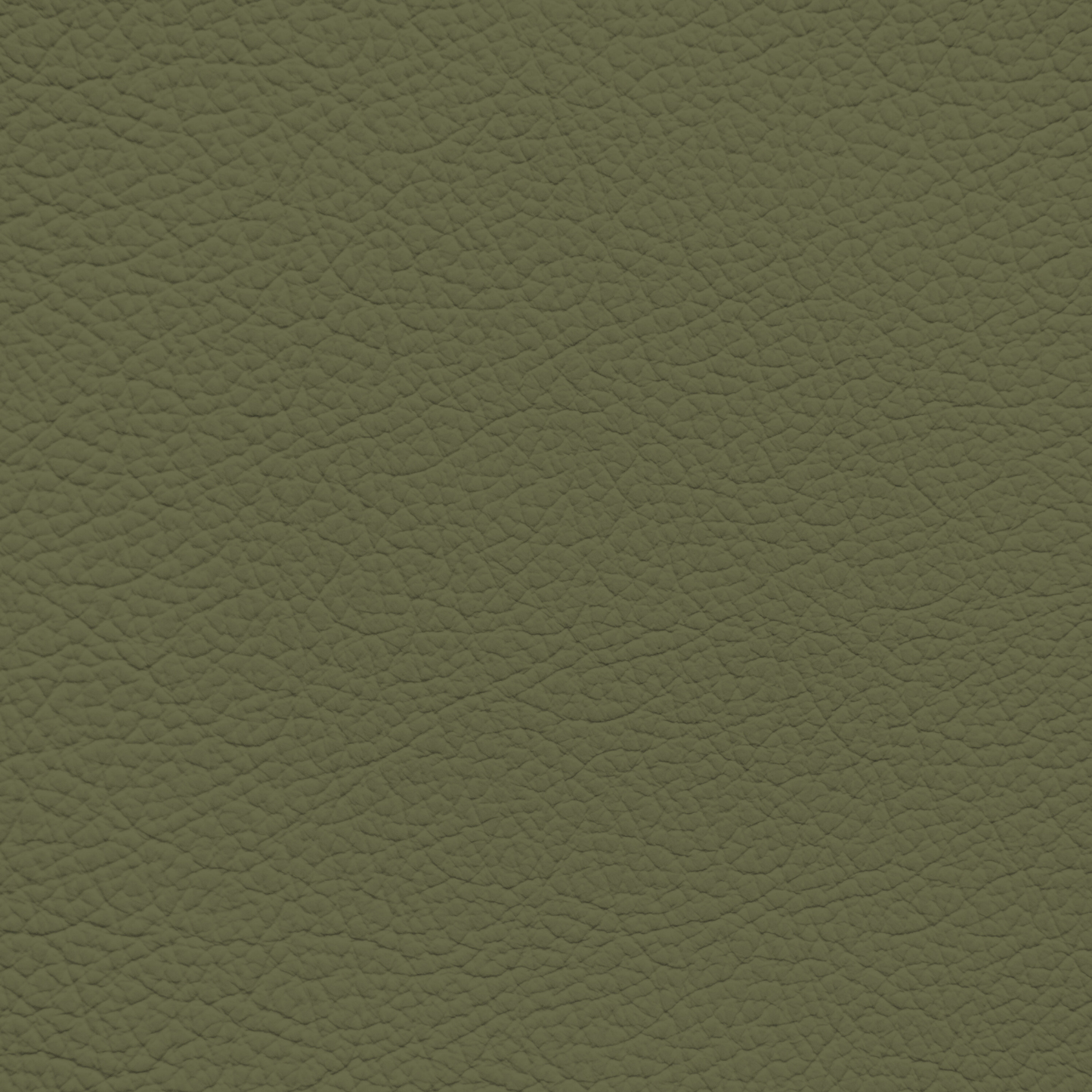 Mercedes Avacado Leather Dye