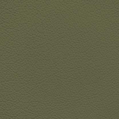 Mercedes Avacado Leather Dye