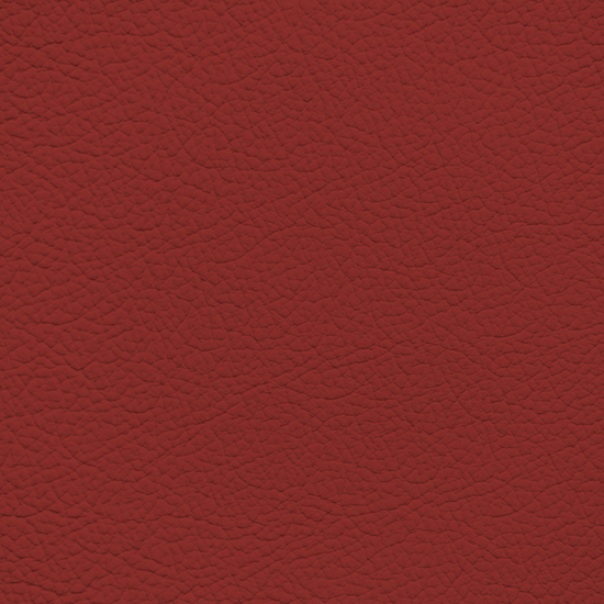 Fiona Red Color Code BMW Fiona Red Leather Dye – Leather World Technologies