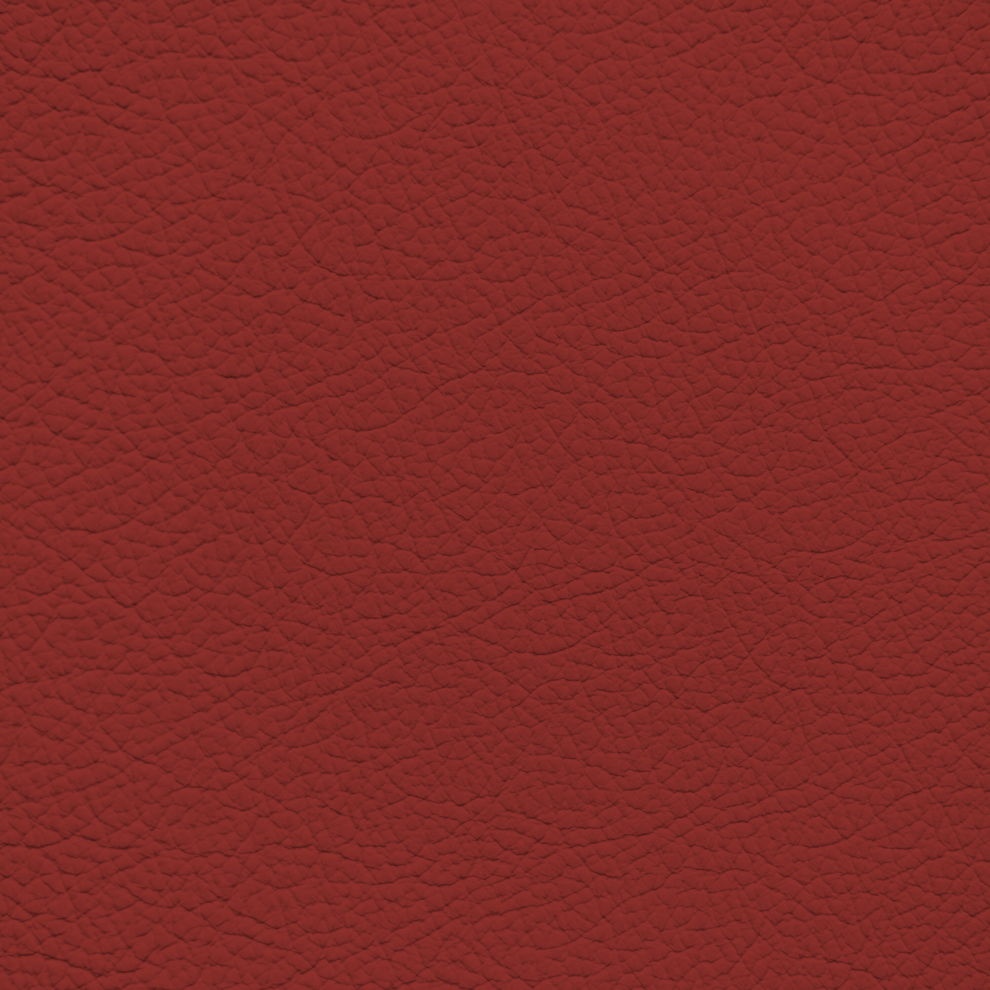 Fiona Red Color Code BMW Fiona Red Leather Dye – Leather World Technologies