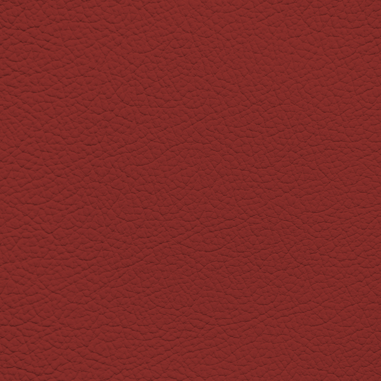 BMW Fiona Red Leather Dye