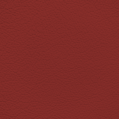 BMW Fiona Red Leather Dye